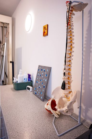 Modell einer Wirbelsäule neben medizinischen Utensilien auf einem Tisch.